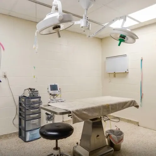 South Bay Veterinary Hospital Surgical Room